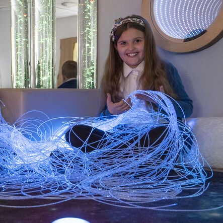 Fibre Optics and Light Source Kit  hi\-res