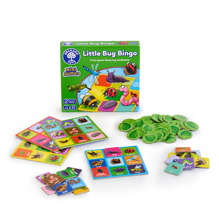 Mad about Minibeasts Vocabulary Bag  hi\-res