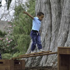 Outdorable Wobbly Log Plank  Outdorable Wobbly Log Plank  hi-res
