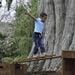 Outdorable Wobbly Log Plank  hi\-res