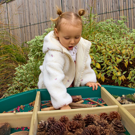 Tuff Tray Loose Parts Sorting Dividers  hi\-res