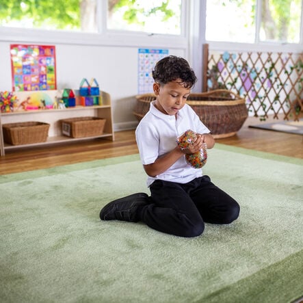 Two Tone Border Rectangular Carpet  hi\-res