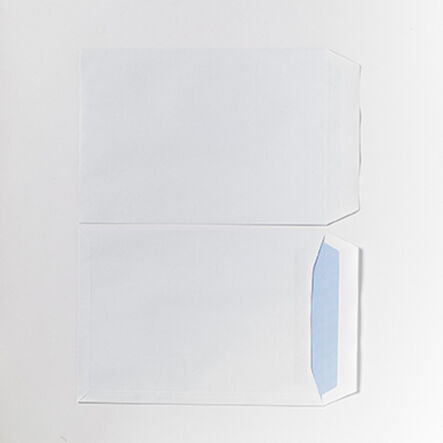 Self Seal C4 Envelopes 250pk 324 x 229mm  hi\-res