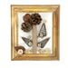Natural Craft and Collage Classroom Pack  hi\-res