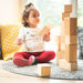 TTS Wooden Magnetic Construction Blocks  hi\-res