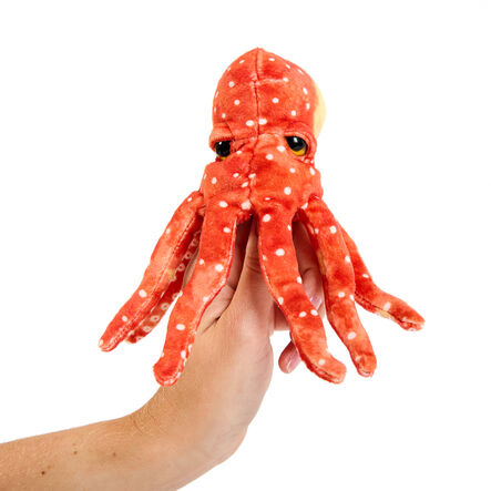 Commotion in the Ocean Vocabulary and Story bag  hi\-res