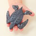 Detailed Small World Sea life Collection  hi\-res