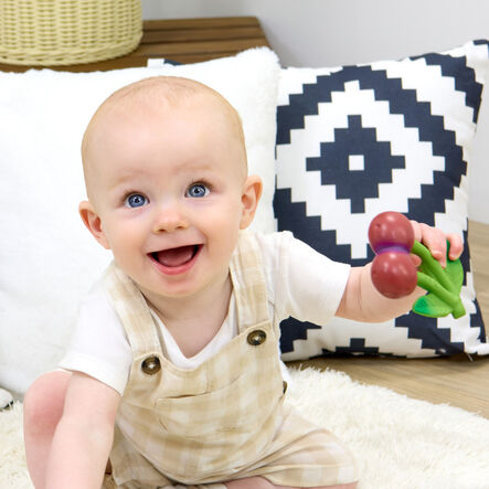 Natural Rubber Toddler Fruit \x26 Veg Chewables  hi\-res