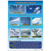 Weather Curriculum Pack  hi\-res