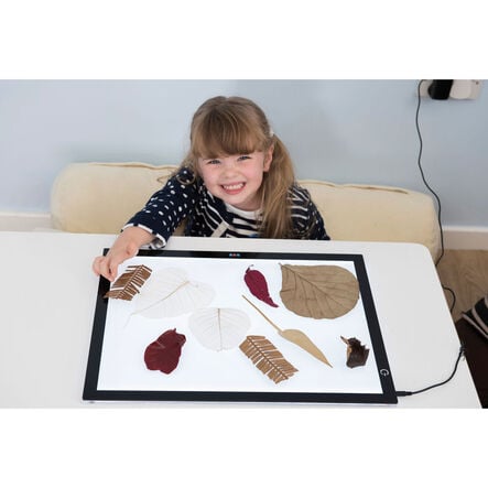 Ultra\-Bright LED Light Panel A3  hi\-res