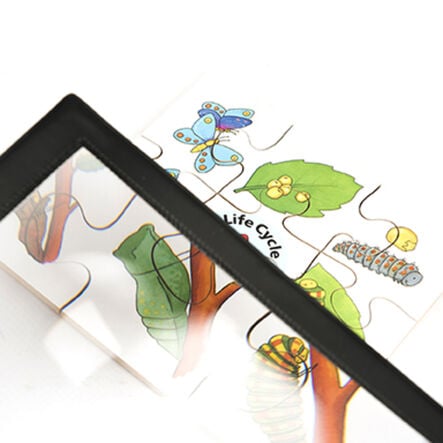 Large Sheet Magnifier Frame  hi\-res