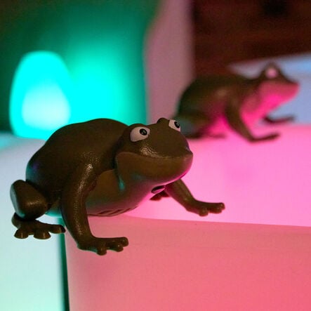 Terrific Talking Frogs  hi\-res