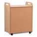 Millhouse Shelving Storage Unit on Wheels  hi\-res