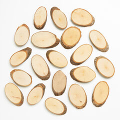 Wood Craft Slices 20pk  Wood Craft Slices 20pk  hi-res