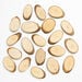 Wood Craft Slices 20pk  hi\-res