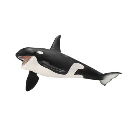 Detailed Small World Sea life Collection  hi\-res