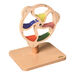 Wooden Rotating Bead Wheel  hi\-res