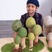 Small World Four Season Trees 12pk  hi\-res