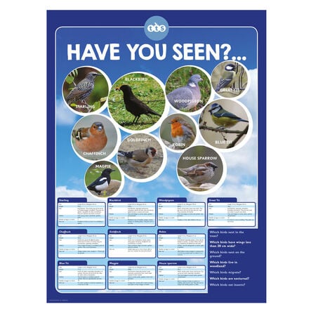 TTS Identifying British Birds Playground Sign  hi\-res
