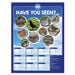 TTS Identifying British Birds Playground Sign  hi\-res