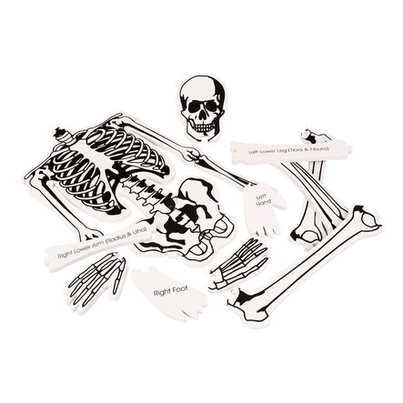 Learning Resources Foam Skeleton Floor Puzzle  hi\-res