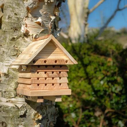 Solitary Bee flip Top Hive  hi\-res