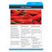 Comprehension Strategies 5\-6 years  hi\-res
