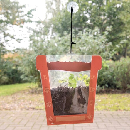 TTS Sow it and Grow it Plant Pots Pack  hi\-res