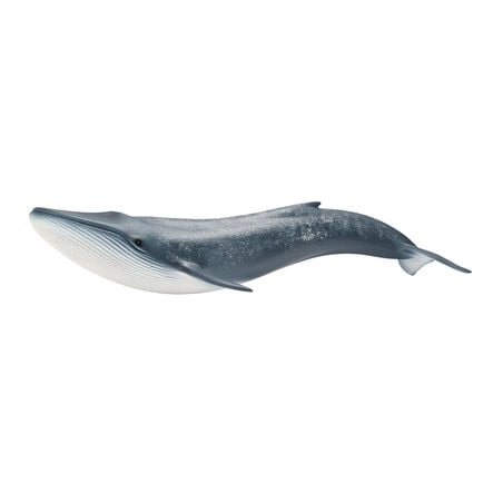 Detailed Small World Sea life Collection  hi\-res