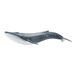 Detailed Small World Sea life Collection  hi\-res