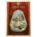 Titans Gauntlets Phonic Reading Book Pack 10pk  hi\-res