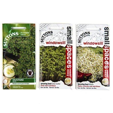 Seeds To Eat In 1 Week \- 3pk  hi\-res