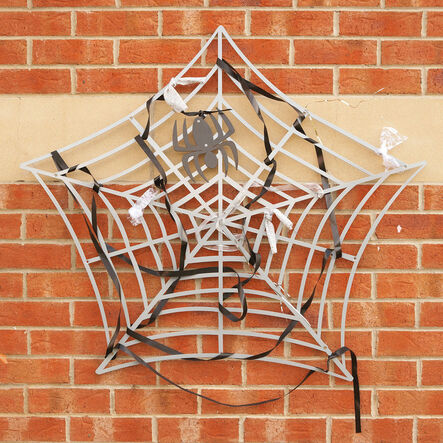 TTS Wonderful Wall Mounted Outdoor Weaving Frame Spiders Web  hi\-res