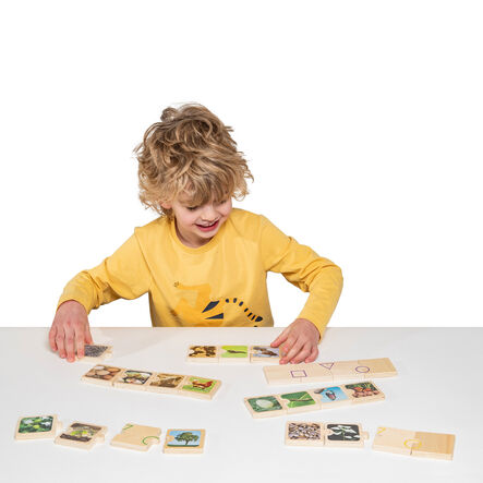 Life Cycles Puzzle  hi\-res