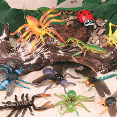 Small World Replica Minibeasts & Insects 20pk  hi-res