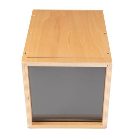 TTS Early Years Projector  hi\-res