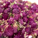 Dried Flowers Natural Collage Pack  hi\-res