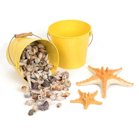 Seaside Old and New Artefact Topic Collection  hi\-res