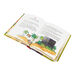 Muslim Childs Religious Artefact Collection  hi\-res