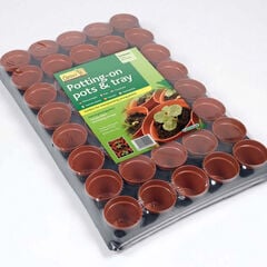 Plastic Plant Pot Tray 40pk  Plastic Plant Pot Tray 40pk  hi-res