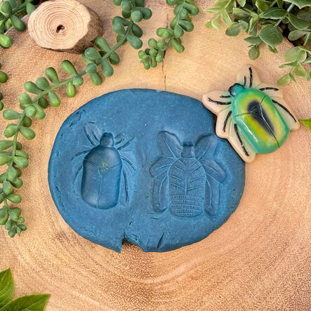 Yellow Door Small World Sensory Stone Insect 12pc  hi\-res