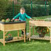Raised Bed Planter Natural Wood H80 x W78 x D58cm  hi\-res