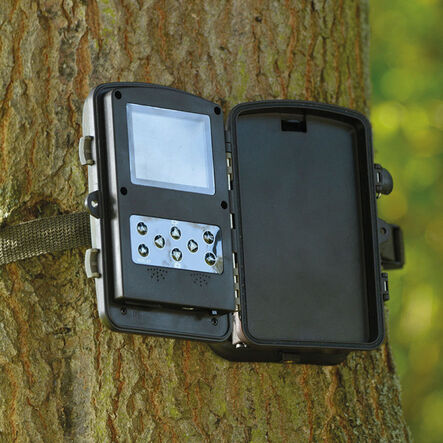 Time Lapse And Motion Activated Camera  hi\-res