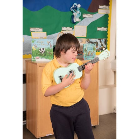 MES Ukulele  hi\-res