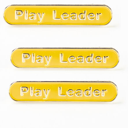 Play Leader Enamel Badges 15pk  hi\-res