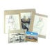 Pisces Transfile Transparent Portfolios  hi\-res
