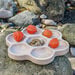 Natural Flower Sorting Tray  hi\-res