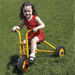 Rabo Large Trike  hi\-res