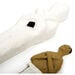 Ancient Egypt Remains Time Capsule Artefact Collection KS2  hi\-res