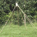Bamboo Canes 20pk  hi\-res